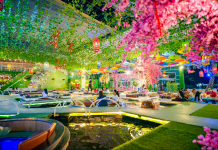 Koi Garden Coffee – Quán cafe cá Koi chill đẹp ở quận 5 Sài Gòn