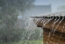 Những cơn mưa rào cuối hạ