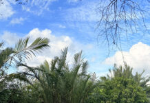 Mekong Delta Explore Nature Homestay 2-Day Community Trip