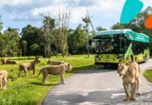 Vinpearl Safari Phu Quoc Vietnam