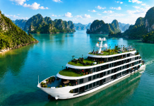 Du Thuyền Venus Cruises 5 Sao Lan Hạ Bay